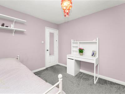 Picture 31